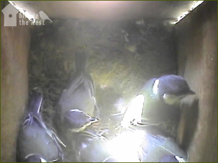 Maybe It's This Way?