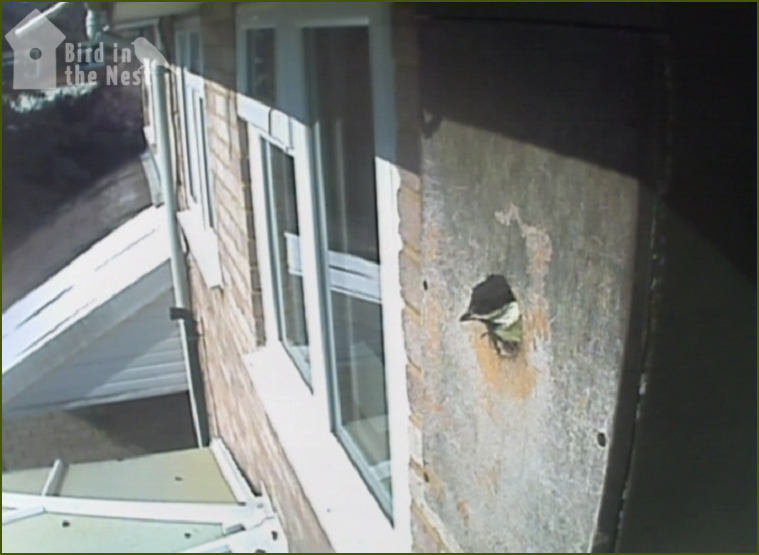 The BIG Outside World