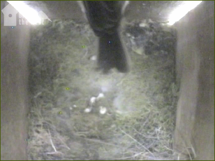 Bye! - Fledged 10:19am